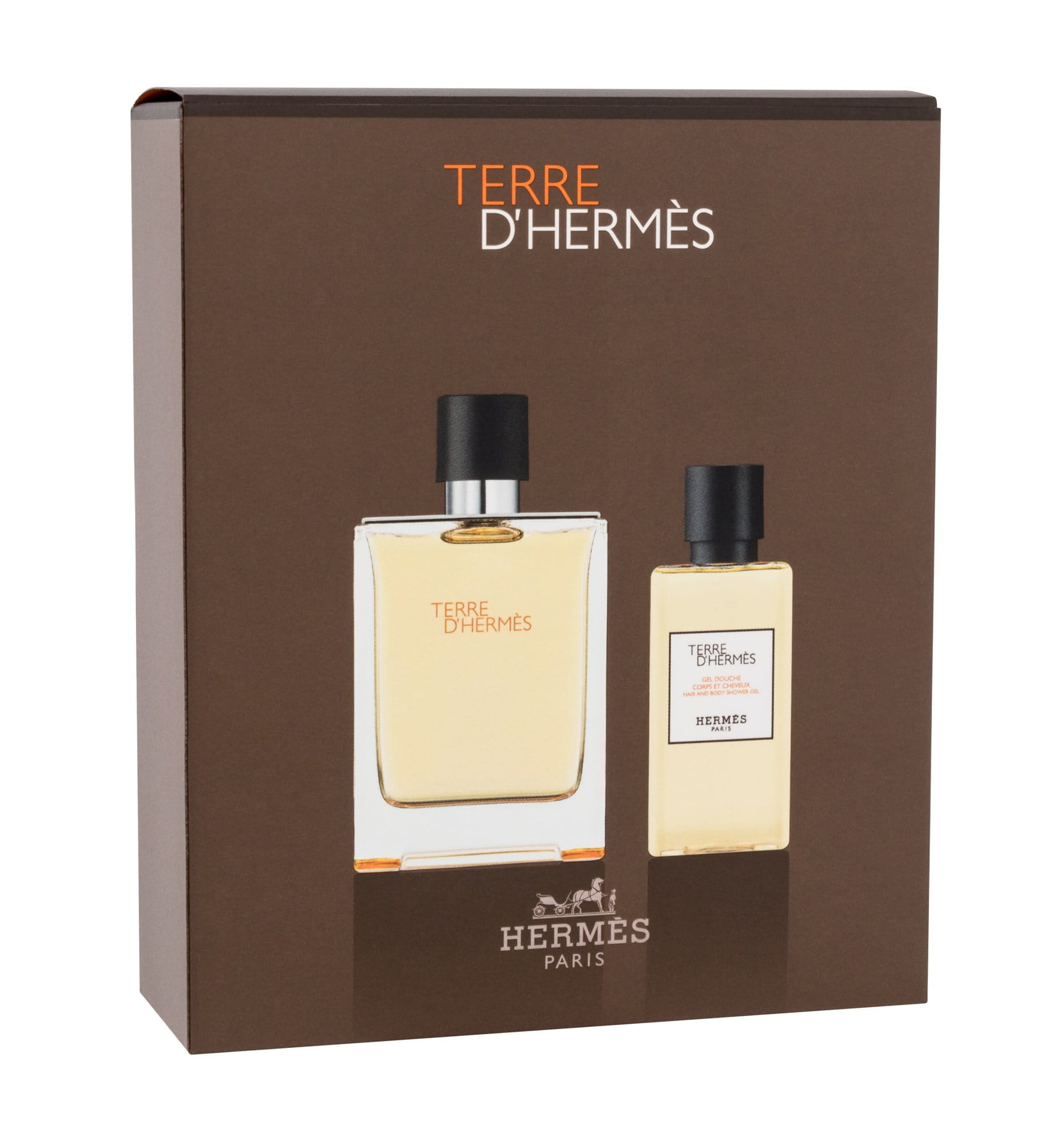 Hermes Terre d´Hermes M Woda toaletowa 100ml-210003